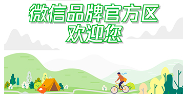 双旦营销怎么玩?“微信品牌官方区”了解一下!