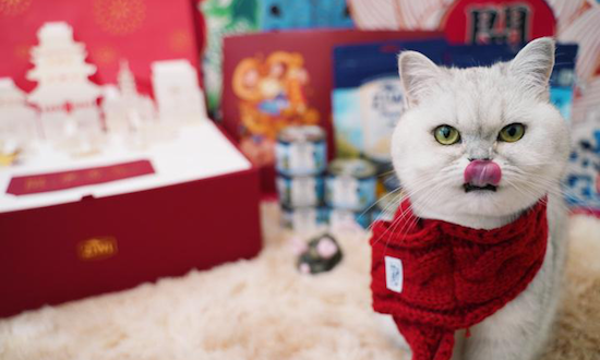 “留守宠物”过年吃喝拉撒全套配齐,天猫国际进口猫粮、智能猫厕所热销