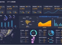 OTT营销有方 看大屏指数如何实现精细化数字营销