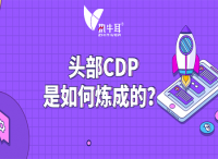 执牛耳十问：头部CDP是如何炼成的？