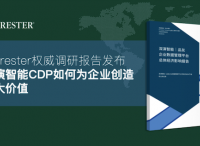 国际权威调研机构报告，深演智能CDP如何为企业创造巨大价值