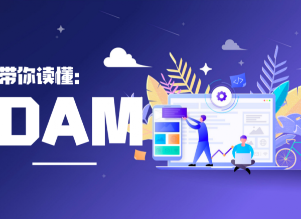 DAM,增强企业竞争力的不二法门
