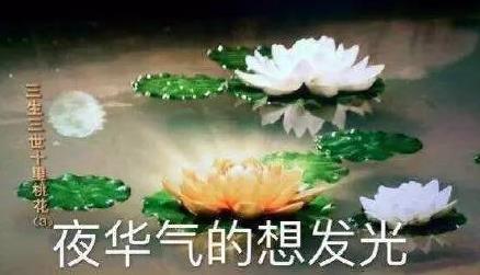 19.jpg 19.jpg